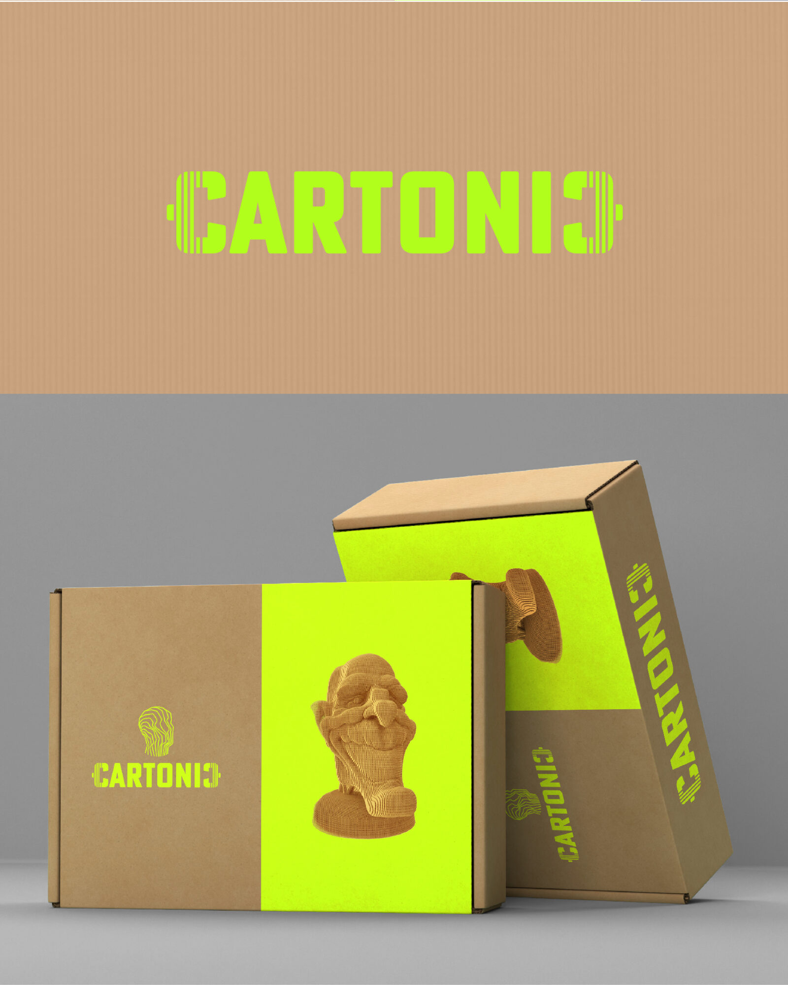 Logo_Cartonic 3